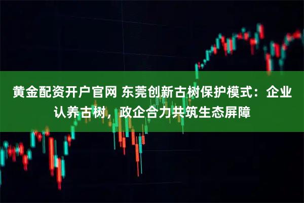 黄金配资开户官网 东莞创新古树保护模式:企业认养古树,政企合力共筑生态屏障