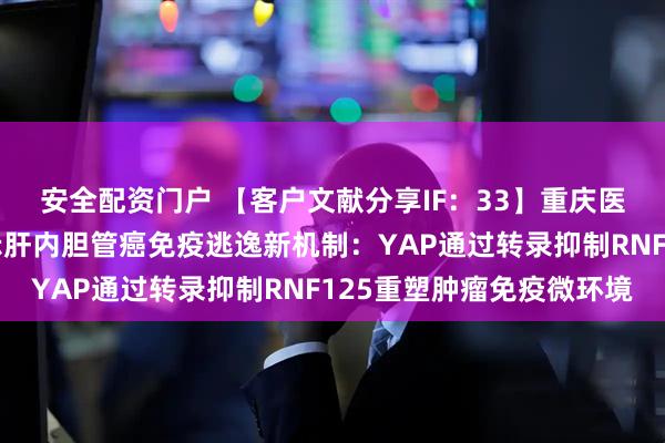安全配资门户 【客户文献分享IF:33】重庆医科大学赵金秋团队揭示肝内胆管癌免疫逃逸新机制:YAP通过转录抑制RNF125重塑肿瘤免疫微环境